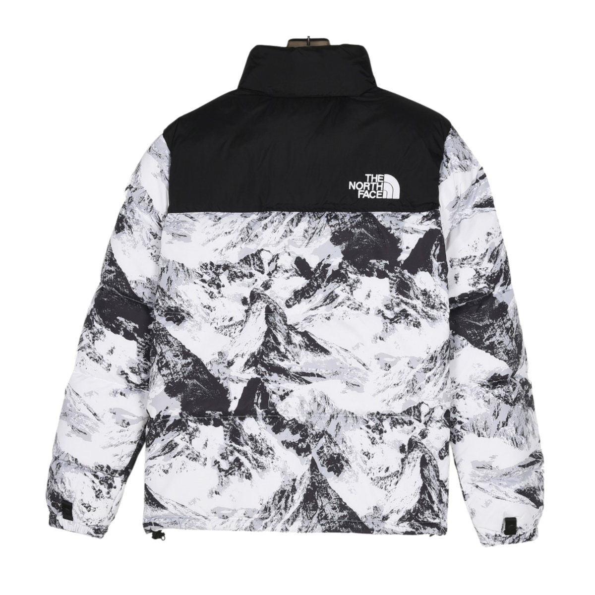 Chaqueton North Face