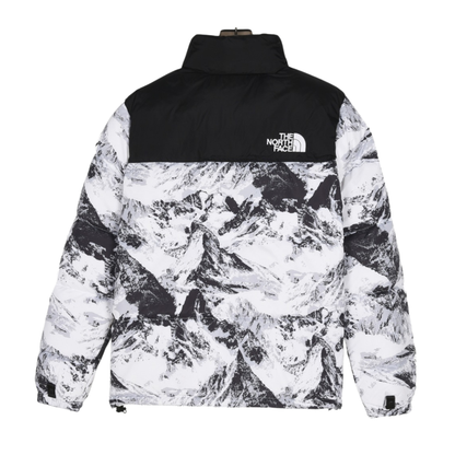 Chaqueton North Face